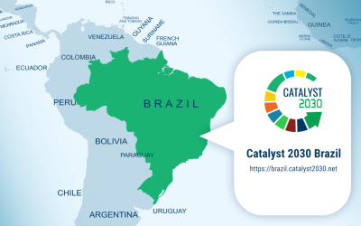 Fundraising for your Chapter or Collaboration:  Lessons from the Catalyst 2030 Brazil Chapter