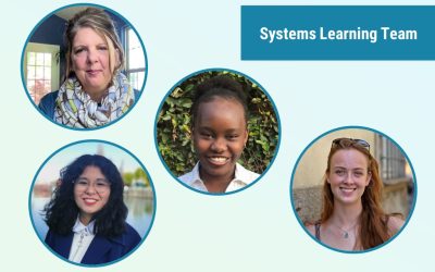 Catalyst 2030 Team in Focus: Systems Learning Team